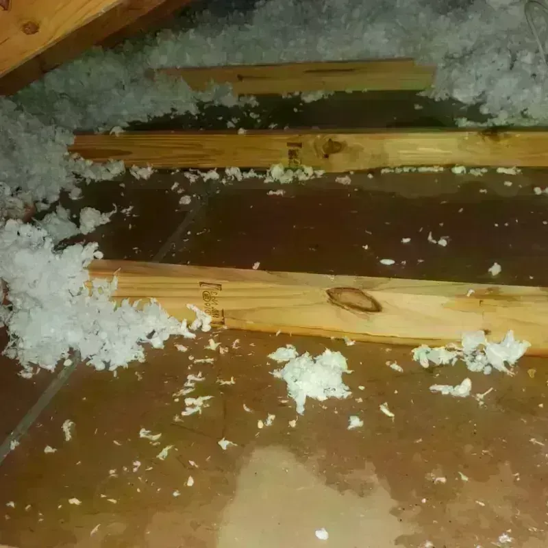 Attic Water Damage in Sibley, LA